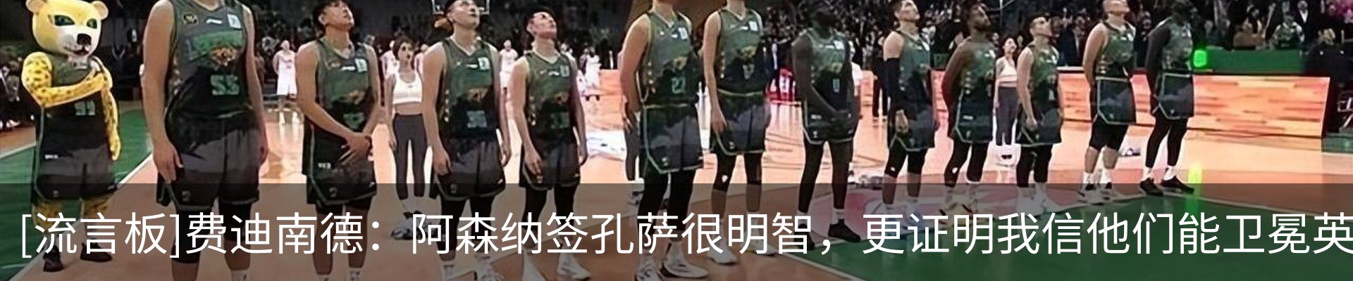 新闻动态